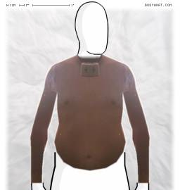 Torso