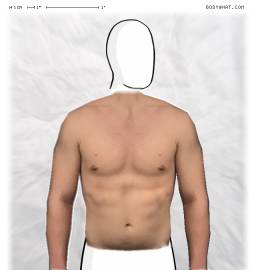 Torso