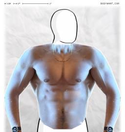 Torso