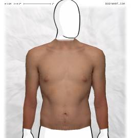 Torso