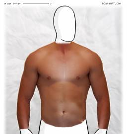 Torso