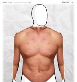 Torso