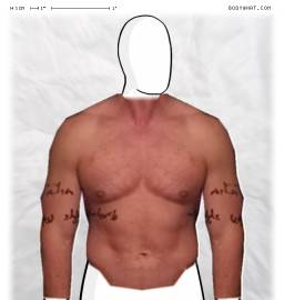 Torso
