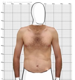 Torso