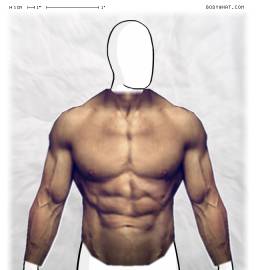Torso