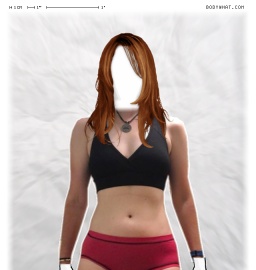 Torso