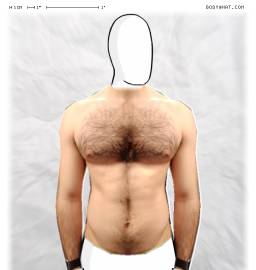Torso