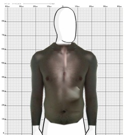 Torso