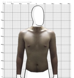 Torso