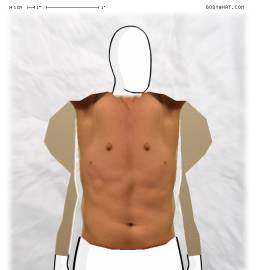 Torso