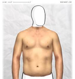 Torso