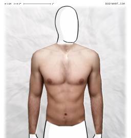 Torso