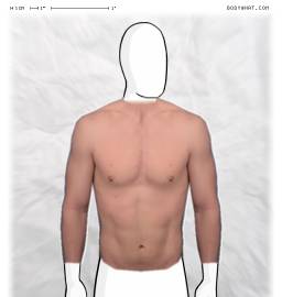 Torso