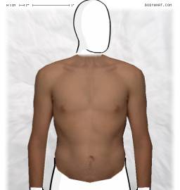 Torso