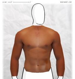Torso