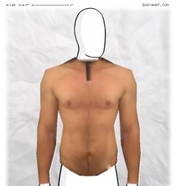 Torso