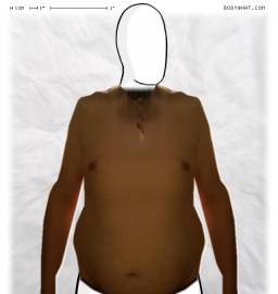 Torso