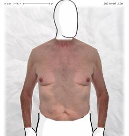 Torso