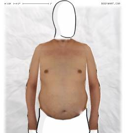 Torso