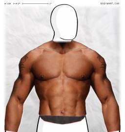 Torso