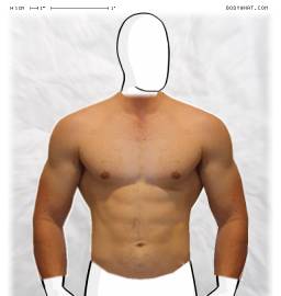 Torso