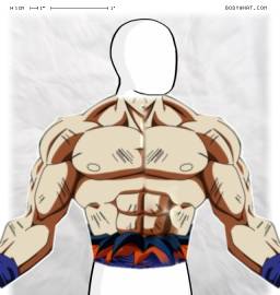 Torso