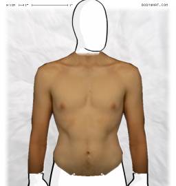 Torso