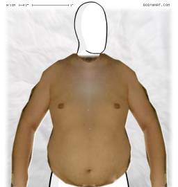 Torso