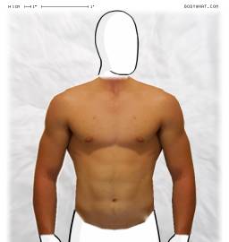 Torso