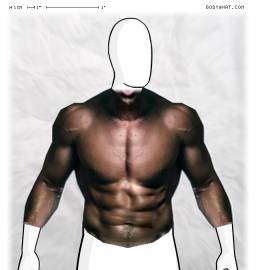 Torso