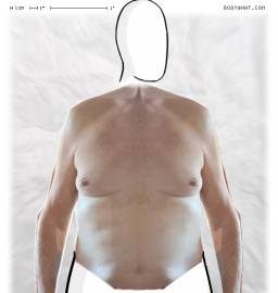 Torso