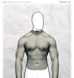 Torso