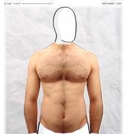 Torso