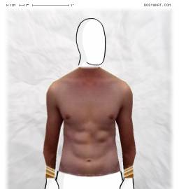 Torso