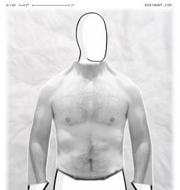 Torso