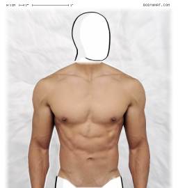 Torso