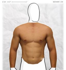 Torso