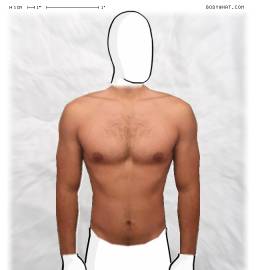 Torso