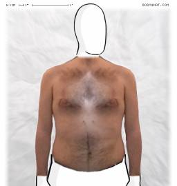 Torso