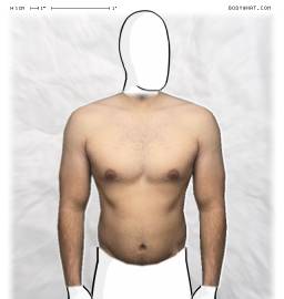 Torso