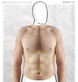 Torso