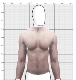 Torso