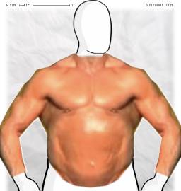 Torso