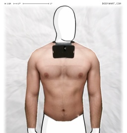 Torso
