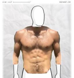 Torso