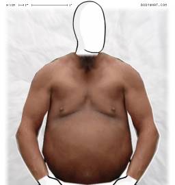 Torso