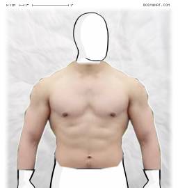 Torso