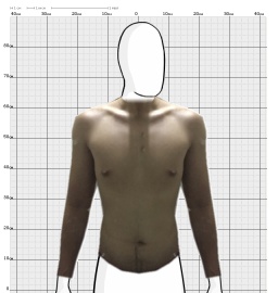 Torso