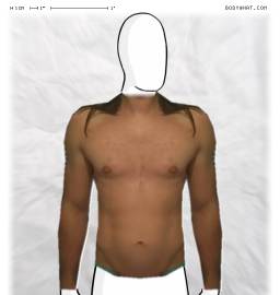 Torso