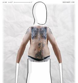 Torso